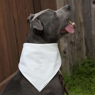 Wholesale Super Soft White Blank Dog Bandana For Sublimation